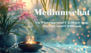 Medium Chat via WhatsApp en Online Chat